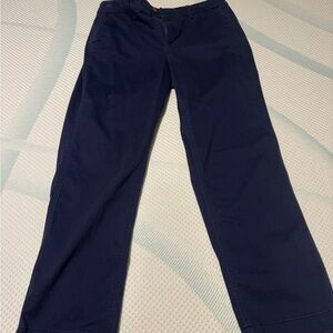 J. Crew Deep Blue Trousers